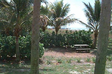 Bowditch Point, Fort Myers Beach, Florida